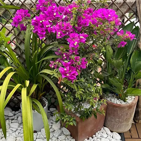 Mamme Carine Holiday home *