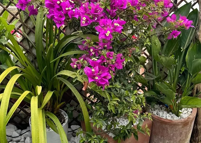 Mamme Carine Feriehus *